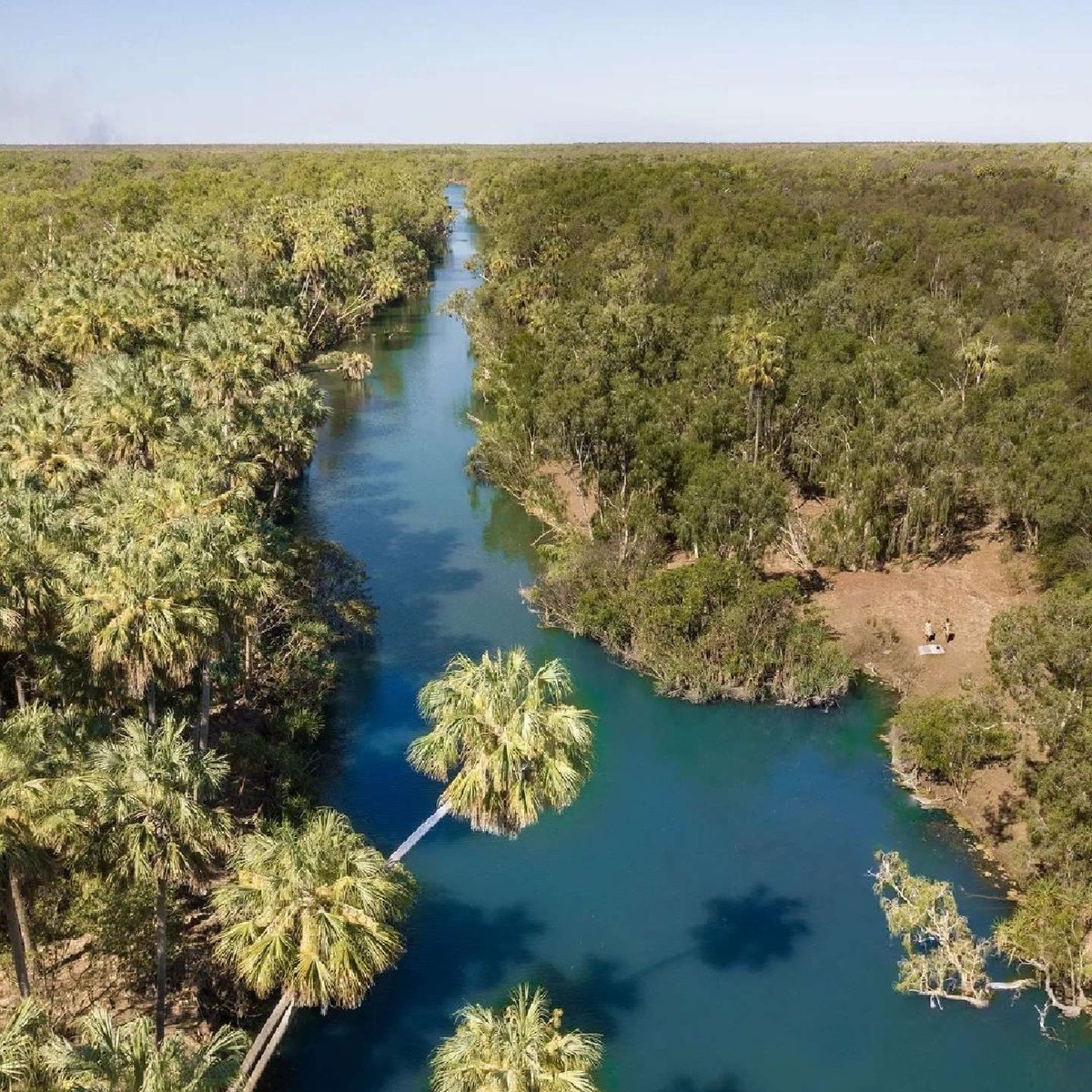 fabionodariph's tweet photo. #travel Australia: Welcome to the tropics π΄β Β
Thanks to IG/all.about.adventure for sharing this idyllic shot of #BitterSprings in @NT_Australia's #ElseyNationalPark, home to the Mangarrayi and Yangman people.
#seeaustralia #ntaustralia #holidayher⦠https://t.co/EgRZPvGQwT