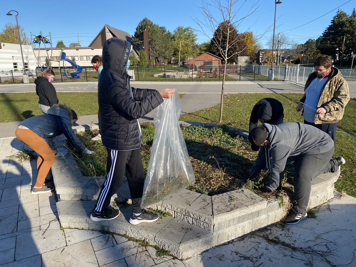 Weeding the gardens so they’re ready for Spring planting. #earthguardians @EcoSchoolsCAN @alcdsb_stfa #stfastewardship