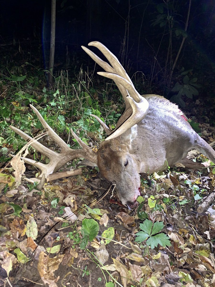 Dustin Huff tweet media