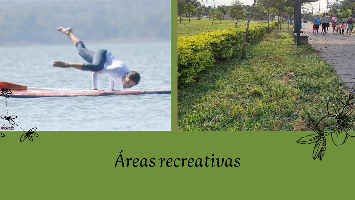 maitetowersc's tweet photo. Otras zonas de gran importancia en Guayaquil son las áreas recreativas como el Área Nacional de Recreación Los Samanes. Aquí se encuentran: Gran belleza estética, un sitio para la recreación y ecoturismo, regulación de la calidad del aire y agua, es habitad de especies. 🍃🐢 https://t.co/aQUoF5x7E7