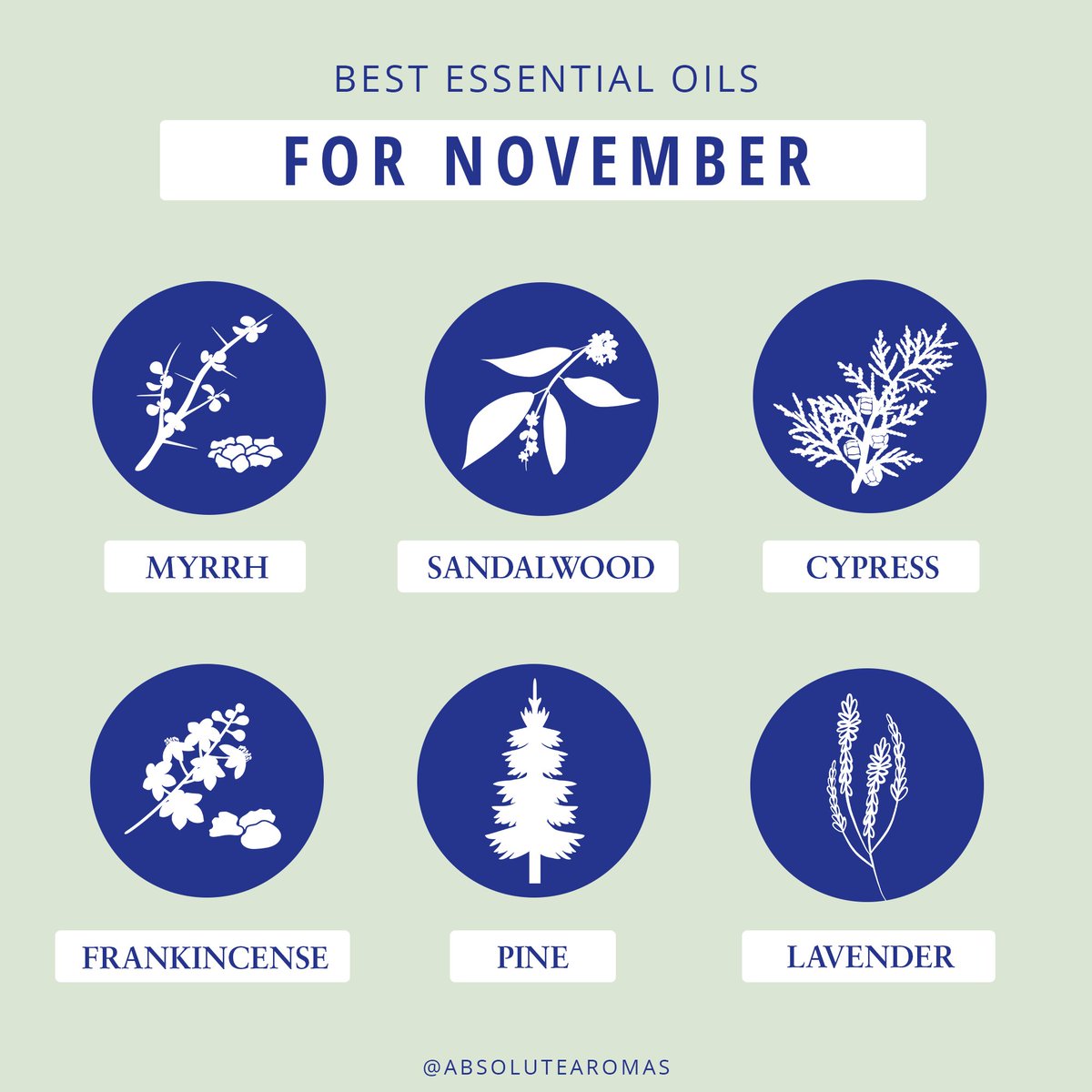 AbsoluteAromas's tweet photo. Here are some of our favourite essential oils for November, lovely oils to soothe and uplift… 😍

Is your favourite on here? ✨ 

#FridayFeeling #essentialoils #AbsoluteAromas https://t.co/0OJzlwObXM