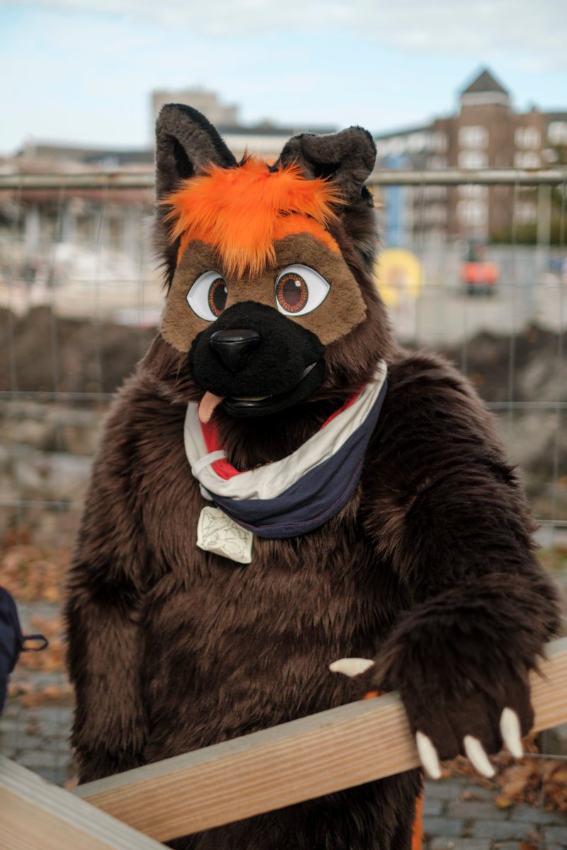 GrangerTheDog tweet media