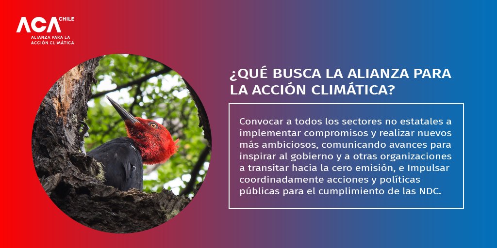 La Alianza para la Acción Climática Chile, busca articular a diversos actores de la sociedad civil a impulsar cambios y acciones concretas para que chile logre alinearse con la meta de no superar los 1.5°C de temperatura global. Más info en alianzaporelclima.cl
<a href="/gmunozabogabir/">GonzaloMunozAbogabir</a>