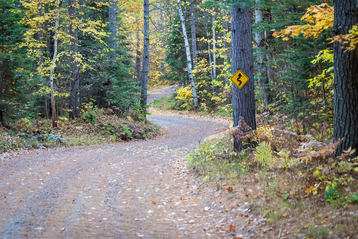 WisconsinDOT's tweet photo. Take a trip on a #RusticRoad this #weekend - like Rustic Road 34, located in the Chequamegon-Nicolet National Forest. It leads through a heavily wooded area, abundant with wildlife. Read about all of Wisconsin's Rustic Roads here: https://t.co/H2Hgld5C31 #RoadTrip https://t.co/70Rhfoko4B