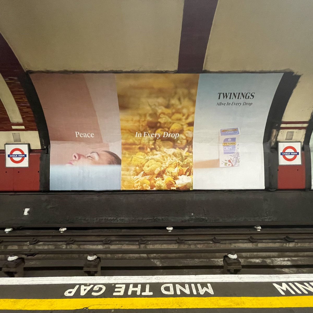 “Peace in every drop” #calm
“Radiance in every drop” #glow

Nice soothing campaign creatives from @twinnings #aliveineverydrop

#ooh #outofhome #outdooradvertising #advertising