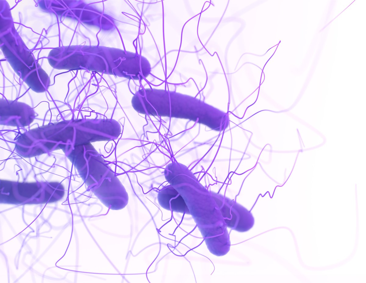 CDC_AR's tweet photo. #Cdifficle, an urgent threat in #CDCARThreats Report, causes life-threatening diarrhea & improving #antibiotic use is an important way to reduce these infections. https://t.co/LOzD35CREj #NovemberCdiffAwareness #AntibioticResistance https://t.co/WTIjQylzmu