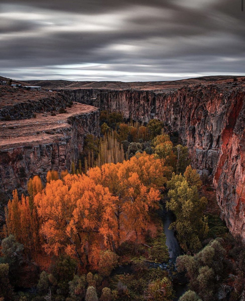 AcarUmut's tweet photo. #ColorsofTurkey
@GoTurkiye ๐น๐ท๐งฟ
#Ihlara #Urfa #Hizan #Safranbolu https://t.co/HBjTgHU4Cd