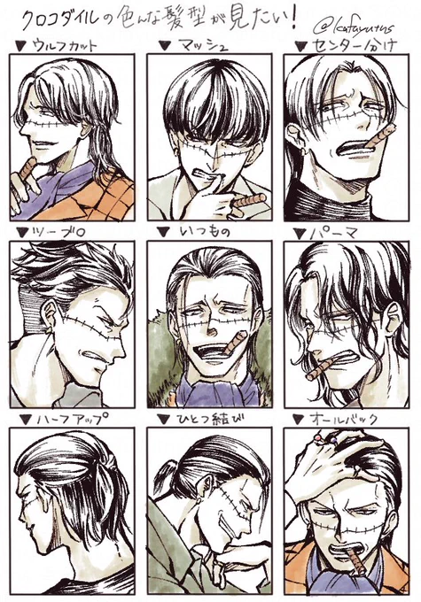 #推しの色んな髪型が見たい
傷部分しか鰐であることがわからないのよ 