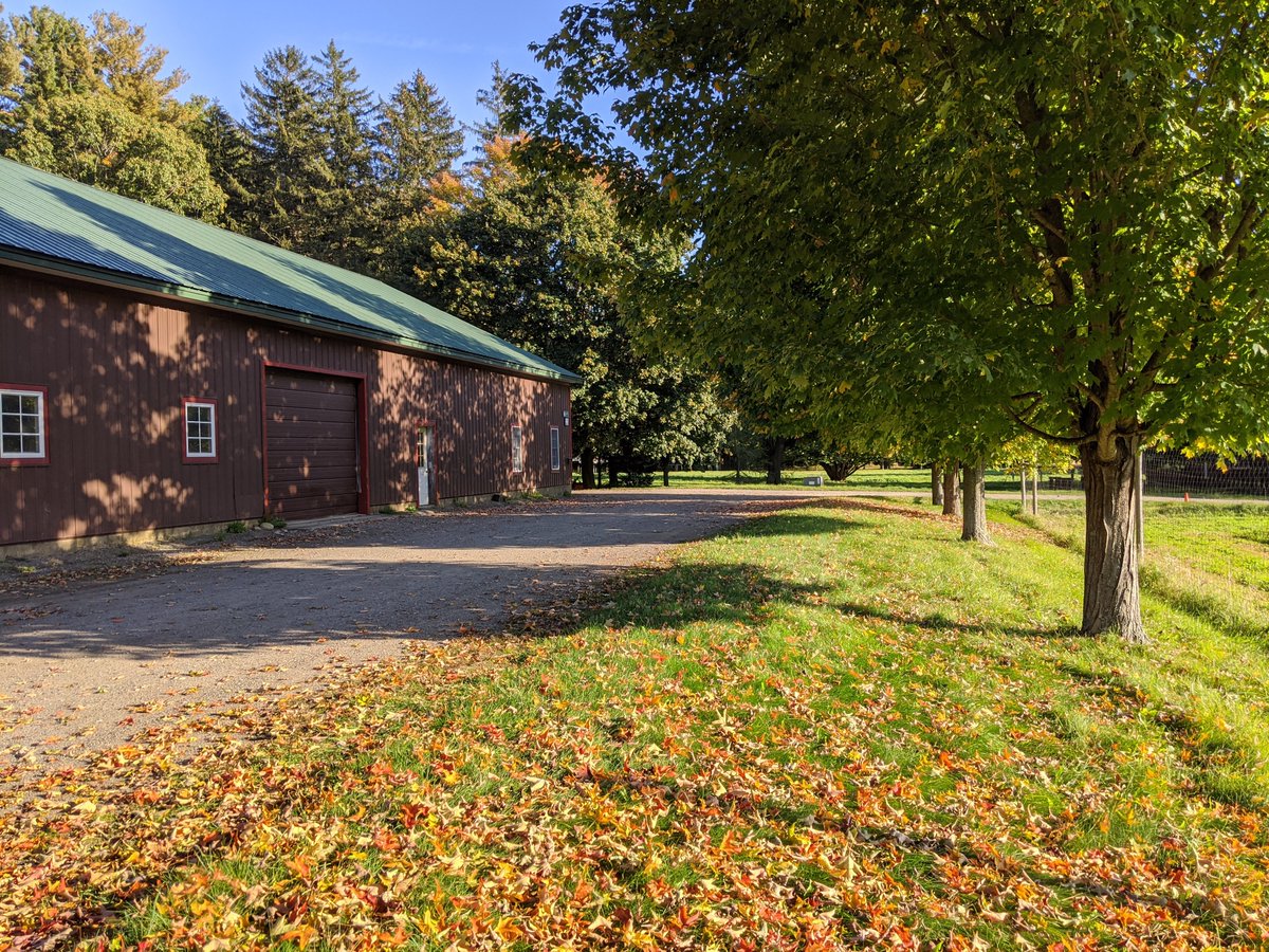 The Great Pumpkin Smash is only two days away! It wouldn't have been possible without help from one of our two sponsors, the Institution for Savings Bank! Remember you can drop off your pumpkins early at <a href="/NewEntry/">New Entry (NESFP)</a> between 2pm and 5pm #composting #pumpkinsmash