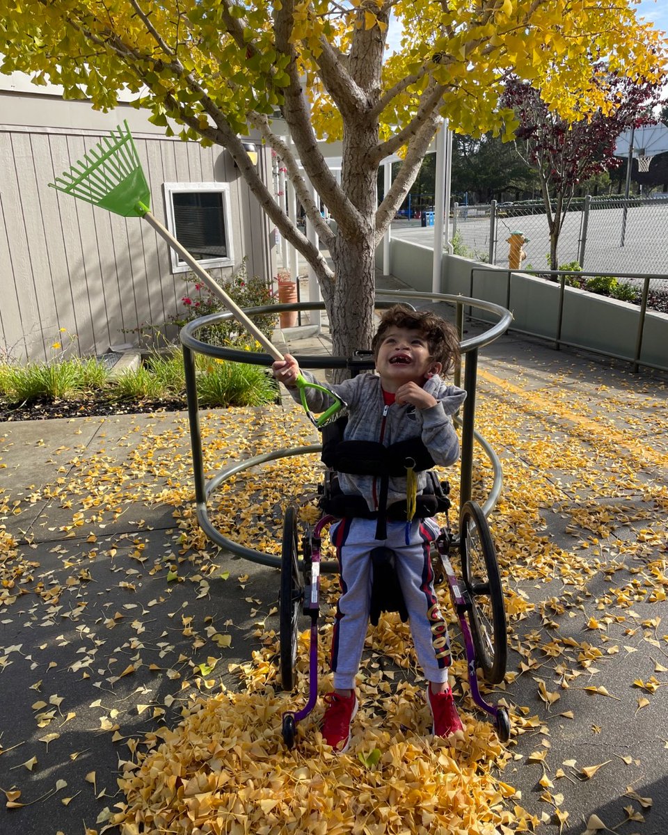 bridgeschool's tweet photo. Classroom 1 friends have enjoyed exploring on the farm! From raking leaves, to picking apples and taking care of farm animals! https://t.co/HKBLCM7QJe