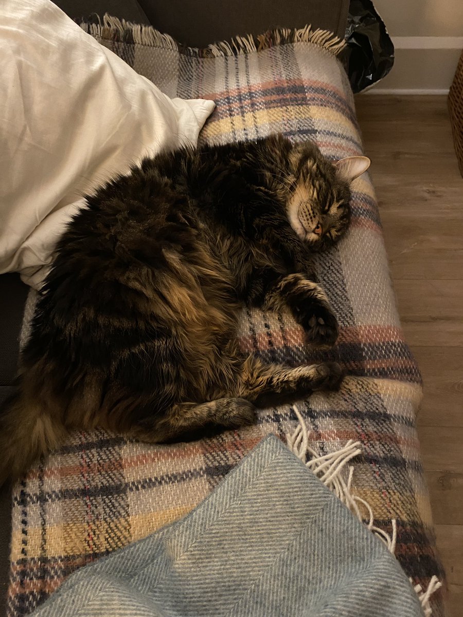 Calming Max from the fireworks with <a href="/ClassicFM/">Classic FM</a>