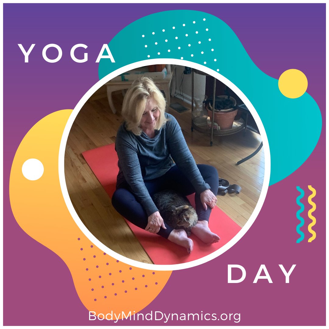 FrancoiseNetter's tweet image. Join us for a group Yoga class or private session with our favorite feline.  We are also still offering private Movement For The Mind and Movement Therapy sessions again. All sessions are available on Zoom and in person. Contact us for details.

#BodyMindDynamics #Yoga #Cat