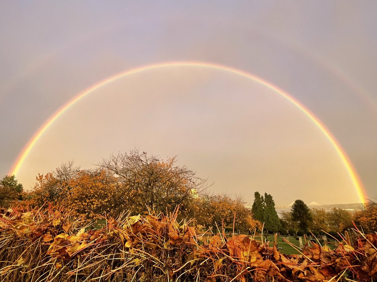 npdiva's tweet photo. Gift in the midst of the rain🌈🥰 https://t.co/CxmS0GhTb9