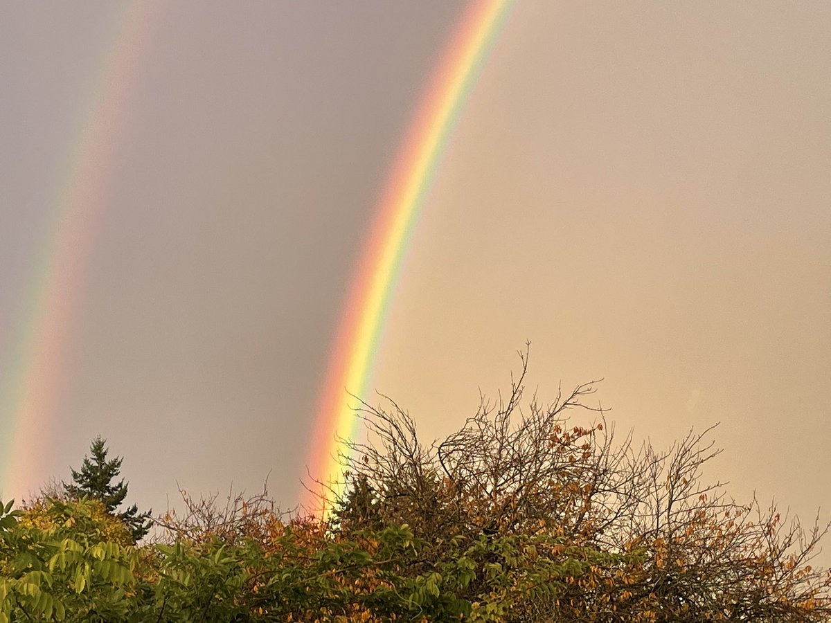 npdiva's tweet photo. Gift in the midst of the rain🌈🥰 https://t.co/CxmS0GhTb9