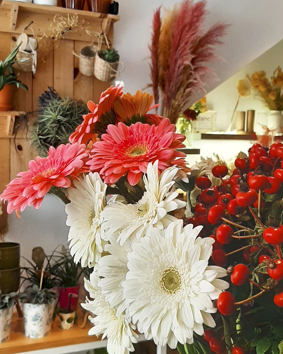 BlancVilassar's tweet photo. Una petita selecció de la nostra flor fresca tallada, sempre lledta per als vostres rams de flors.
#VilassarDeMar #VilassarComerç
#FlorTallada #FlorFresca #Floristes #RamsDeFlors #Gerbera #Anturium #Confeti https://t.co/IzMsuxlYhR
