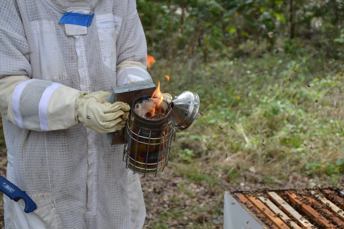 sashawrites's tweet photo. I'm so looking forward to my weekend! Lots of learning to buzz about. See what I did there? LOL! #BeekeeperInTraining #BeekeepingWriter #SaveTheBees #Beekeeping #BeesRock #ProtectTheBees #SweeterThanHoney @htp_books @Bookclubbish @jo_raisanen https://t.co/kj7Fwbp6hD