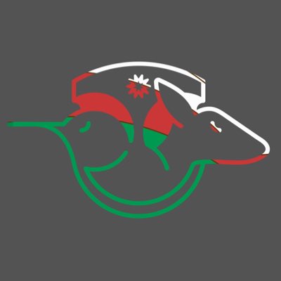 #NewProfilePic
#العيد_الوطني_٥١_للنهضة