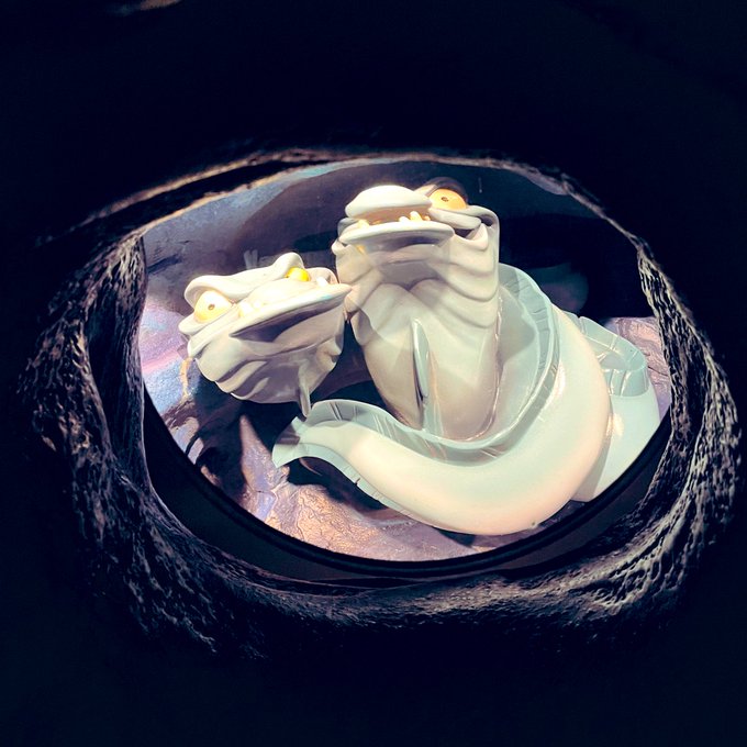 見てきた!✌️コソッと撮った 