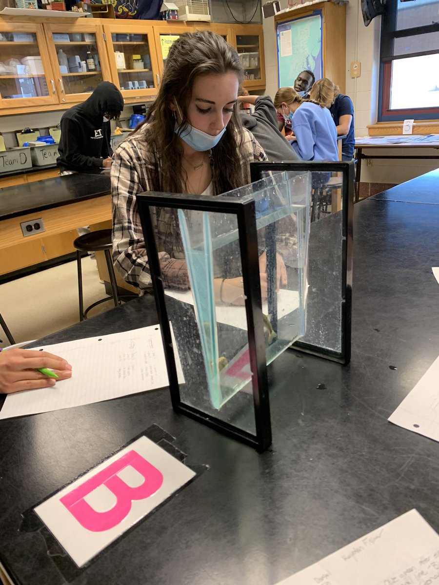 SnavelyWatrbug's tweet photo. Topo tanks are the best teaching tool to study fish. @WetiMu @chesapeakebay @CVBuckskins @StroudCenter @watrbug250 https://t.co/dkAn8CGqNu