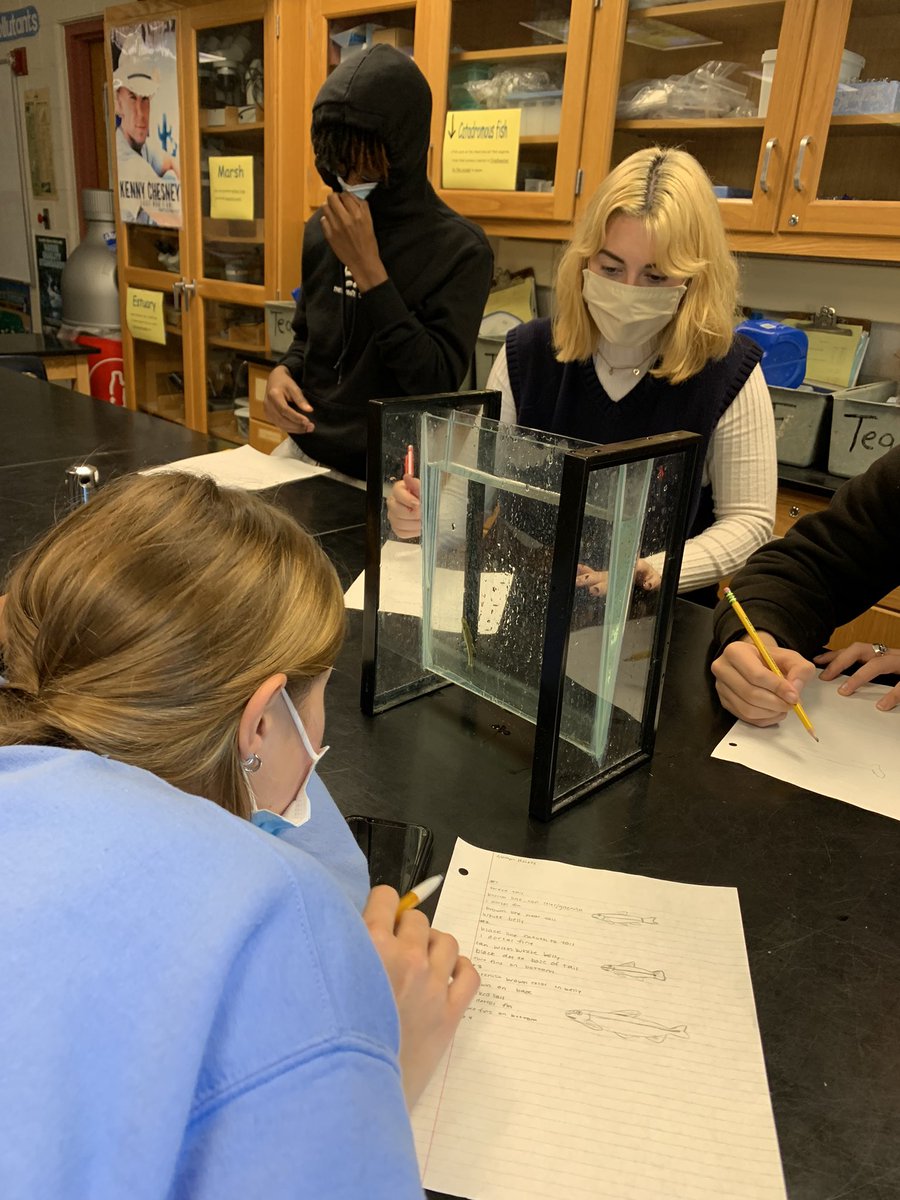 SnavelyWatrbug's tweet photo. Topo tanks are the best teaching tool to study fish. @WetiMu @chesapeakebay @CVBuckskins @StroudCenter @watrbug250 https://t.co/dkAn8CGqNu