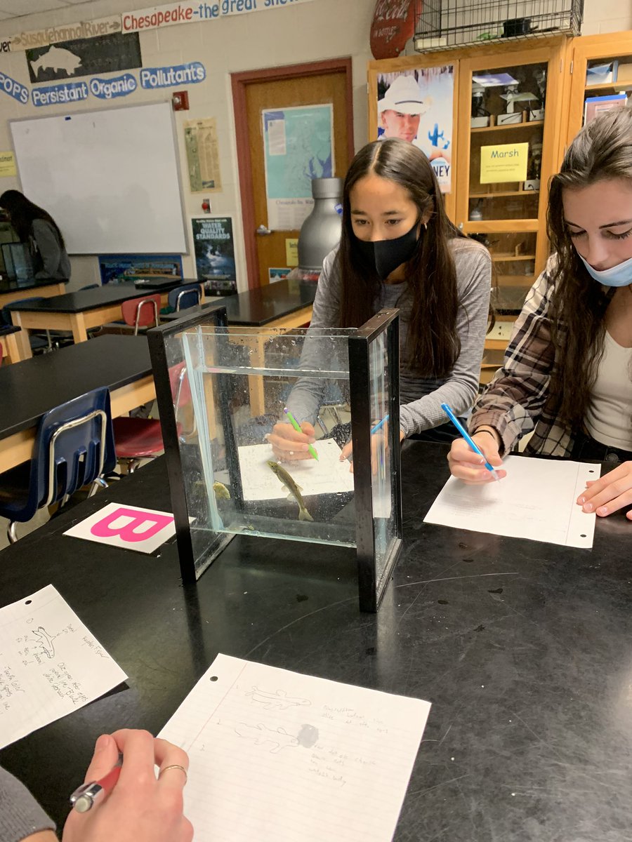 SnavelyWatrbug's tweet photo. Topo tanks are the best teaching tool to study fish. @WetiMu @chesapeakebay @CVBuckskins @StroudCenter @watrbug250 https://t.co/dkAn8CGqNu