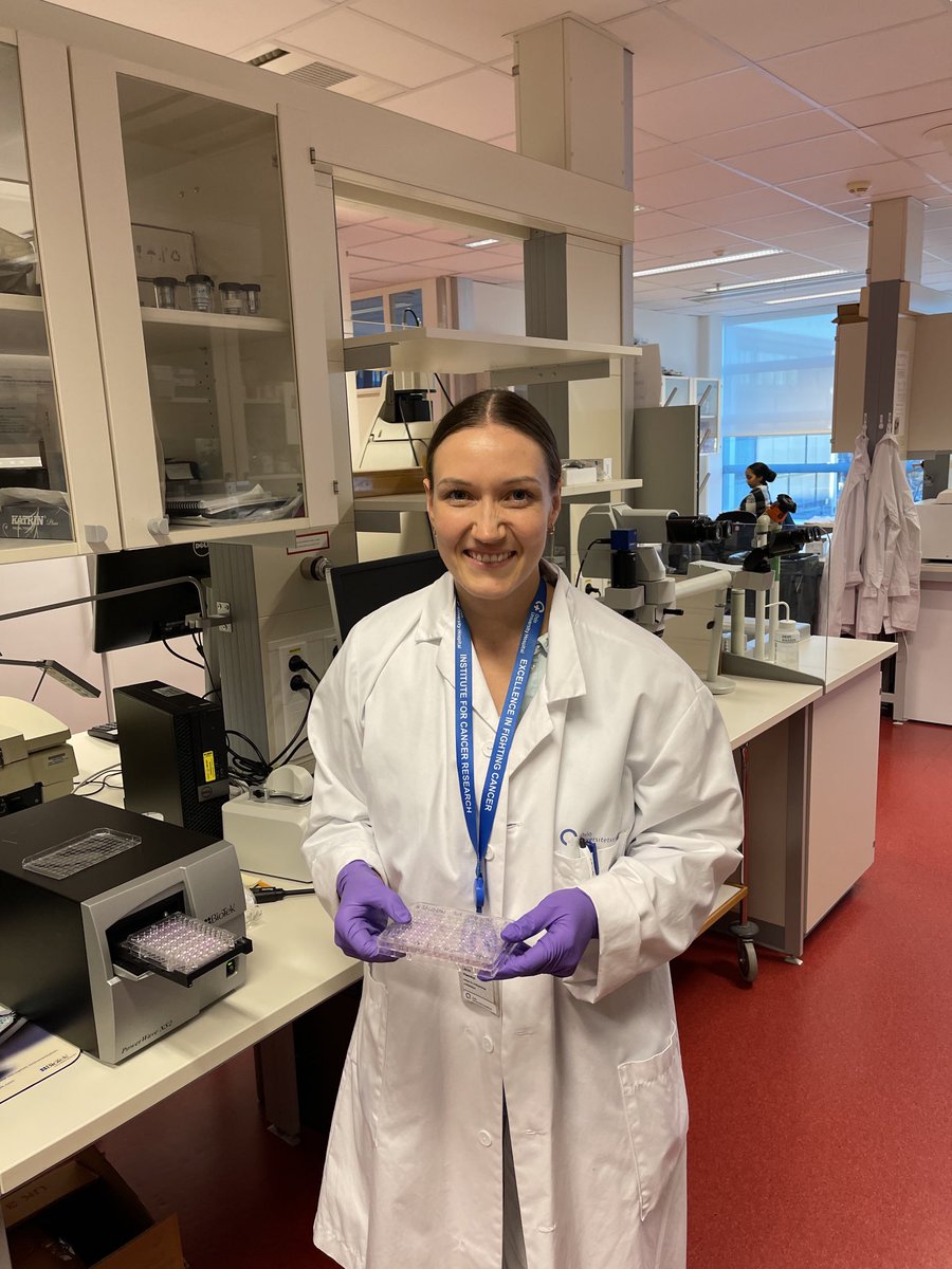 pkselbo's tweet photo. New member of the PCI group! Welcome to the lab @Riccischi | Ricci’s HSØ-funded PhD project is «Novel #Photochemical strategies for #treatment of #cholangiocarcinoma», linked to my project group. 🔬💉🦠 https://t.co/imLjnGyuFQ