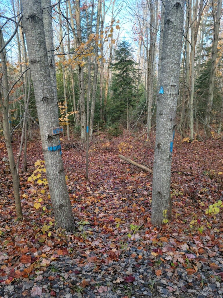 Michigan Outback Relay (MI_OutbackRelay) / Twitter