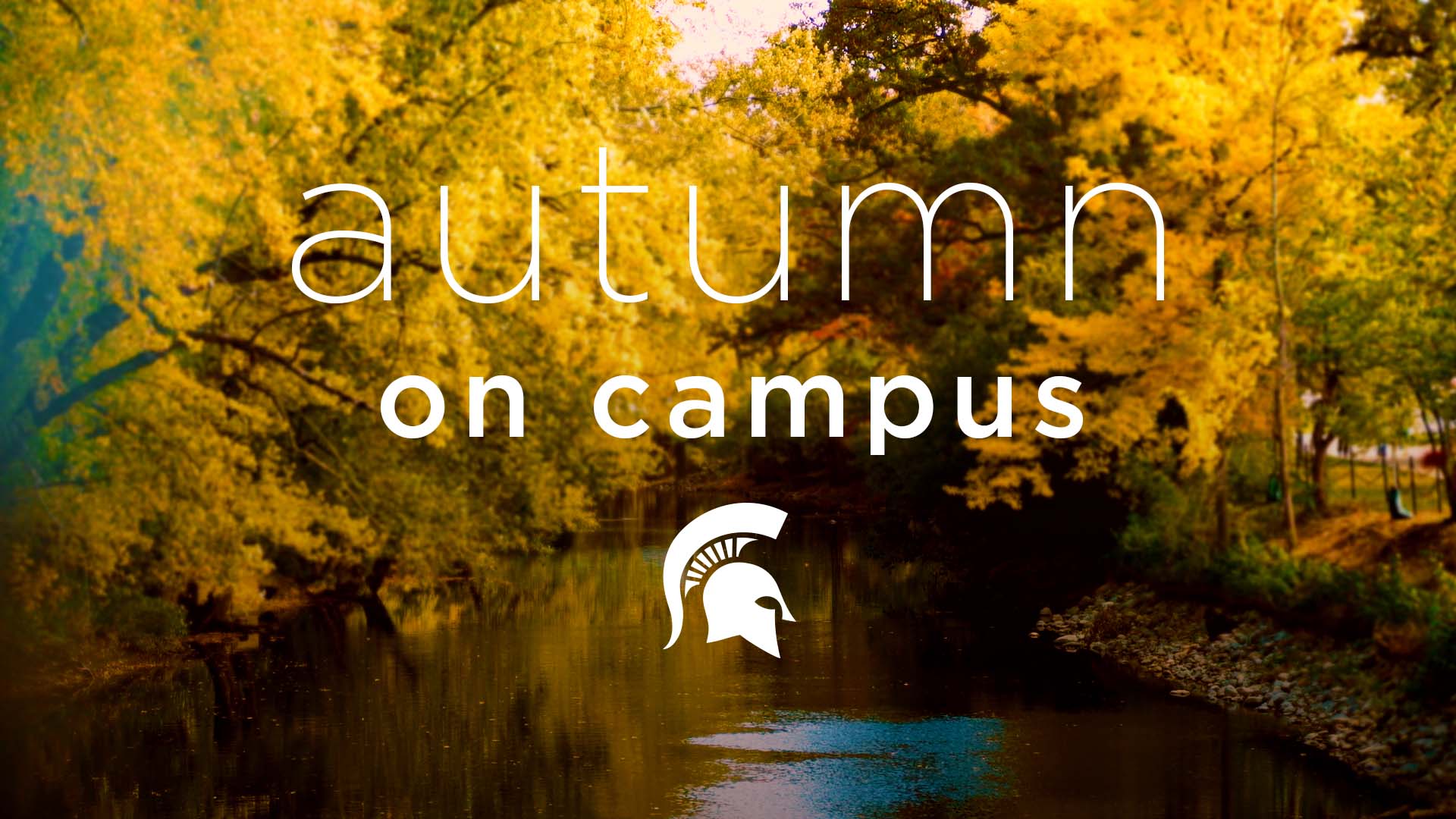MSU_CoRe (MSU_CoRe) / Twitter