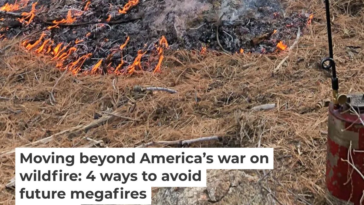 forestproud's tweet photo. “the biggest risk in frequent fire forests is doing nothing, and time is running out.” 4 ways to keep #forests4climate --> https://t.co/YAI9cv4bL6 #forestproud #forestmanagement #climateaction #goodfire #fireRX #fireyear2021 via @ConversationUS https://t.co/x8KR5PaOXu