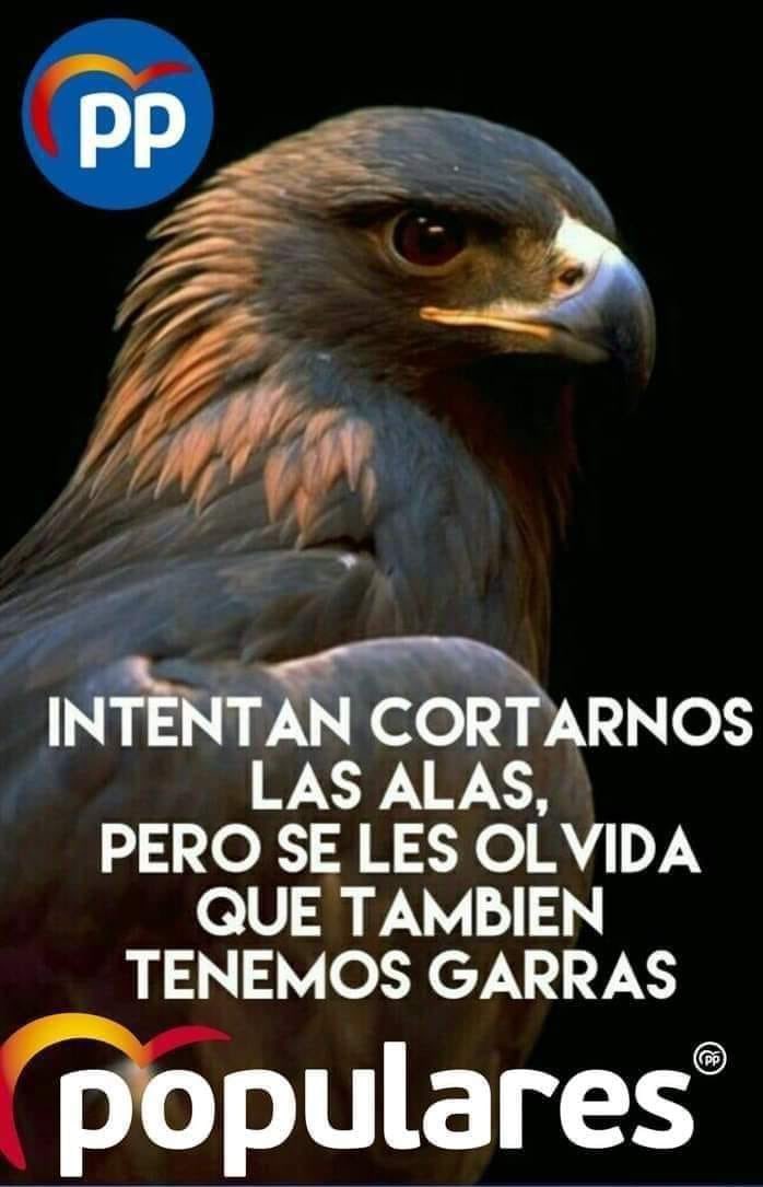 salt_ppc's tweet photo. #ActivemSalt 💪
#CreiemEnSalt💪
💙PP SALT💙 https://t.co/su8GUQOOJy