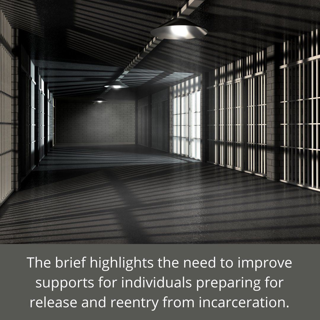 ForHealthCnsltg's tweet photo. Health &amp; Criminal justice experts @WarrenFerguson2 and @MDupuis_HCJ are part of a team who co-authored a @Health_Affairs brief on #reentry to the community and #health post-incarceration. Read more: https://t.co/0dd5oIXFuM https://t.co/NTo0SU30Xj