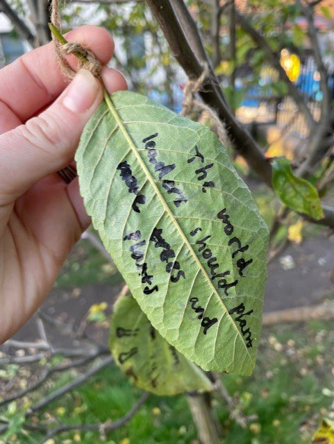 Here are some of <a href="/TowerbankPS/">Towerbank Primary</a>’s <a href="/wwf_uk/">WWF UK</a> Forest of Promises! Great work P5BH 🌿🌎#PromiseToThePlanet #ForestOfPromises
