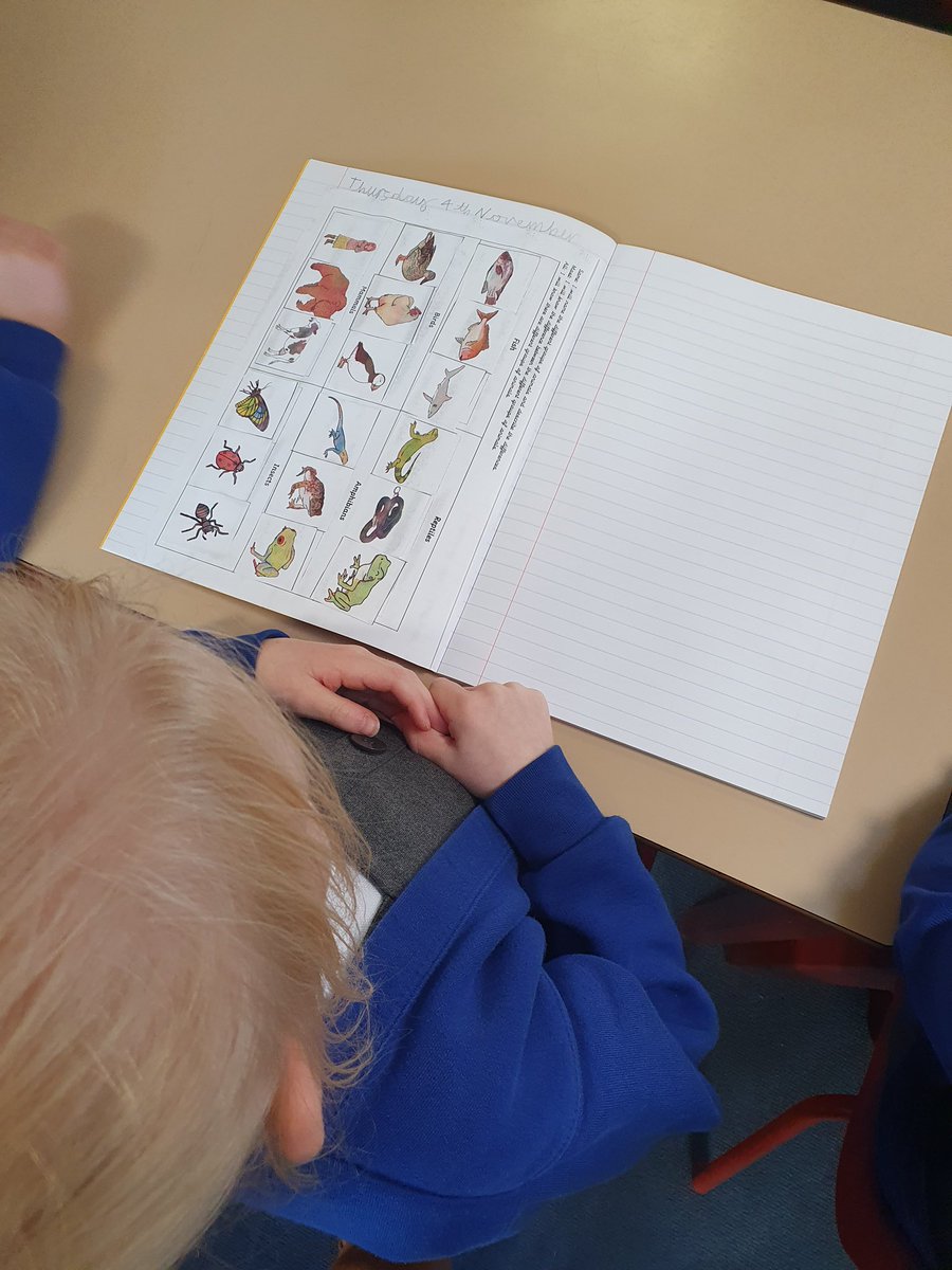 BHPSMansfield's tweet photo. Year 2 enjoyed sorting animals into their groups. They looked at mammals, amphibians, reptiles, birds, fish and insects. #Science #Differentanimals #Whichgroupandwhy? https://t.co/ACgwAUAcGJ