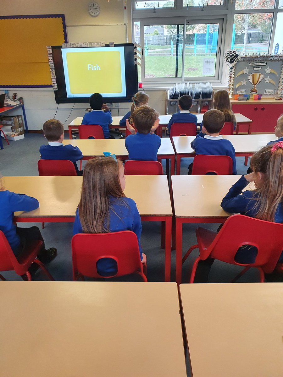 BHPSMansfield's tweet photo. Year 2 enjoyed sorting animals into their groups. They looked at mammals, amphibians, reptiles, birds, fish and insects. #Science #Differentanimals #Whichgroupandwhy? https://t.co/ACgwAUAcGJ