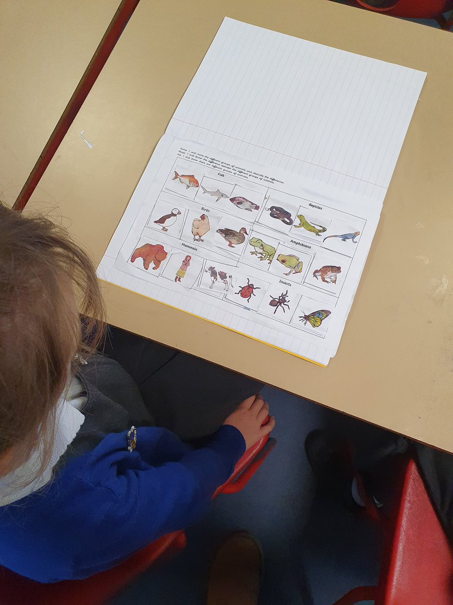 BHPSMansfield's tweet photo. Year 2 enjoyed sorting animals into their groups. They looked at mammals, amphibians, reptiles, birds, fish and insects. #Science #Differentanimals #Whichgroupandwhy? https://t.co/ACgwAUAcGJ
