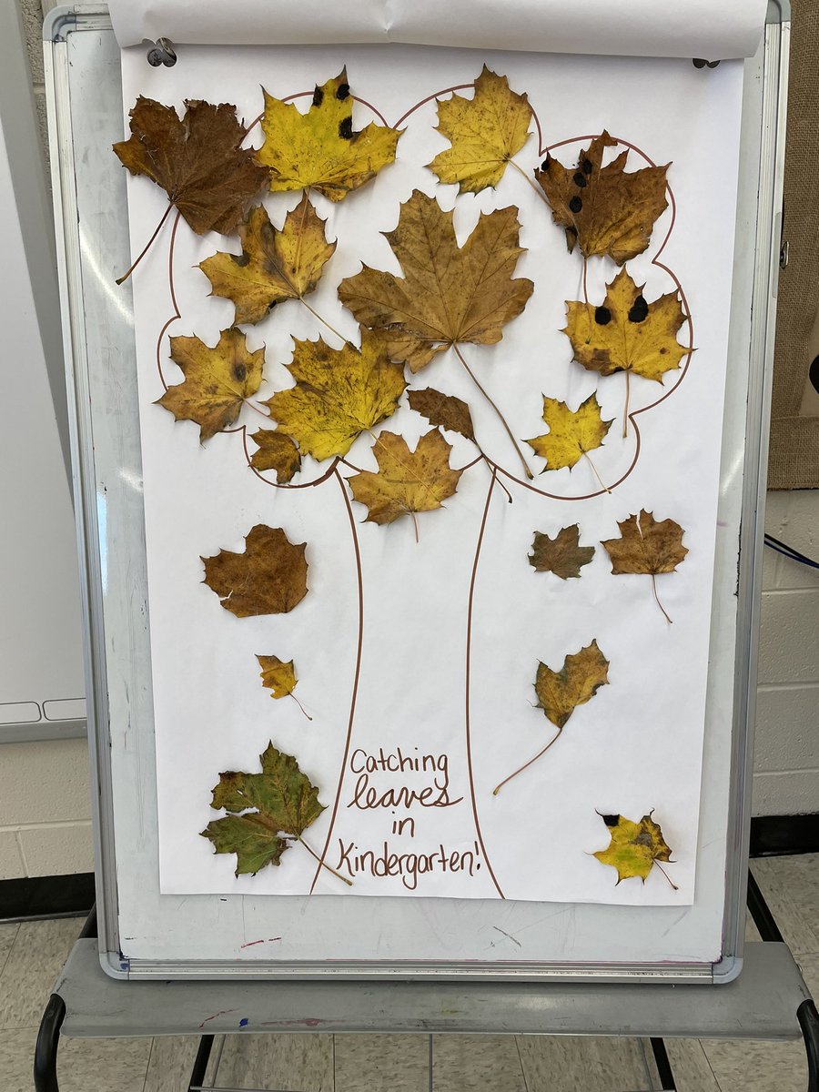 Catching leaves in Kindergarten🍂  Each student took a unique leaf inside and they created a beautiful fall tree to display in <a href="/mshumbyCHE/">Ms. Humby</a> classroom!!🍁 <a href="/cowanelementary/">Cowan Heights School</a> <a href="/NLESDCA/">NLESD</a>