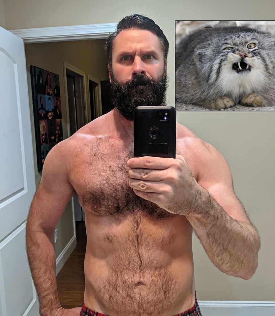 HandleBar_ASMR's tweet photo. This Is Definitely My Spirit Animal.... Or In A Perfect World My Patronus
#spiritanimal #pack #catsofinstagram #cat #cats #animals #cute #harrypotter #geek #beard #beards #scruff #scruffy #hairy #daddy #papi #dadbod #barba #goodmorning #morning #buenosdi… https://t.co/4wlfL68UwD https://t.co/tw3zIxDVTM