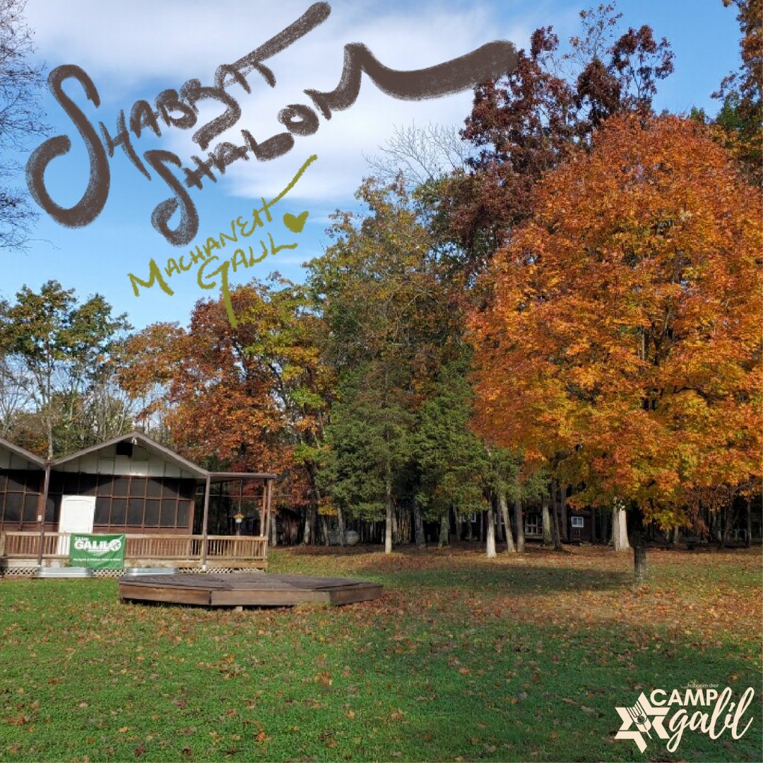 CampGalil's tweet photo. Shabbat Shalom Machaneh Galil! 
Thanks so much to our amazing caretaker, Jeff, for sending us this gorgeous photo of Galil's fall foliage <3 https://t.co/2CdG48CxC8