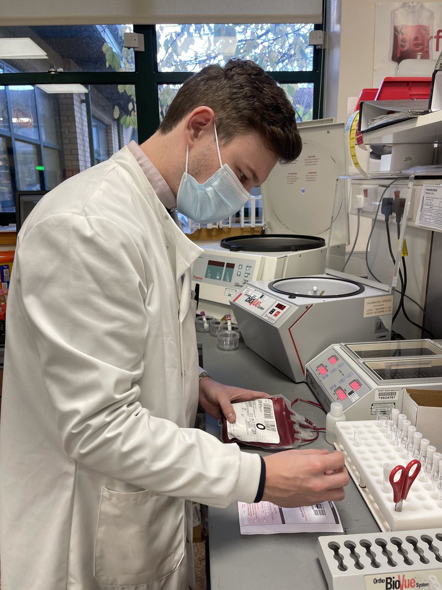 NHSCTrust's tweet photo. Blood group A+, B+, O- 🩸 what does it mean? Choosing the right blood group for transfusion is super important! Blood Bank professionals use many ways to ensure that blood for transfusion is compatible #NationalPathologyWeek #TeamNorth #AllTogetherNow @RCPath @IBMScience @NIPIMS https://t.co/gvDpgIkVDi