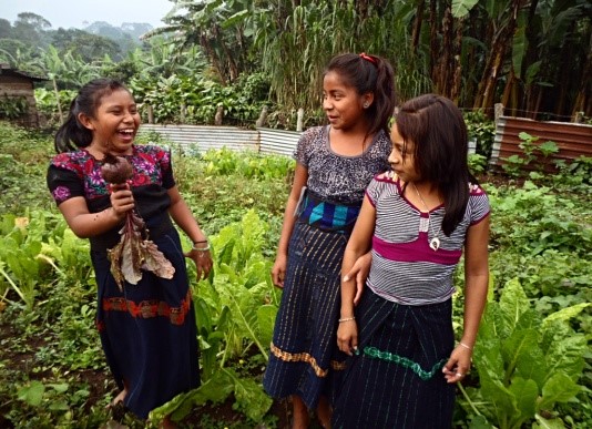 As part of our commitment to <a href="/CafeFemenino/">Café Femenino Perú</a>, we helped fund an Organic Garden Project in Solola, Guatemala in 2016.  This grant request was to prepare the land and plant an organic community garden.