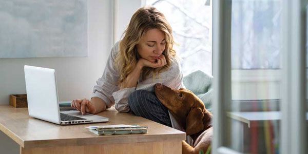 Veterinary Practice News tweet media