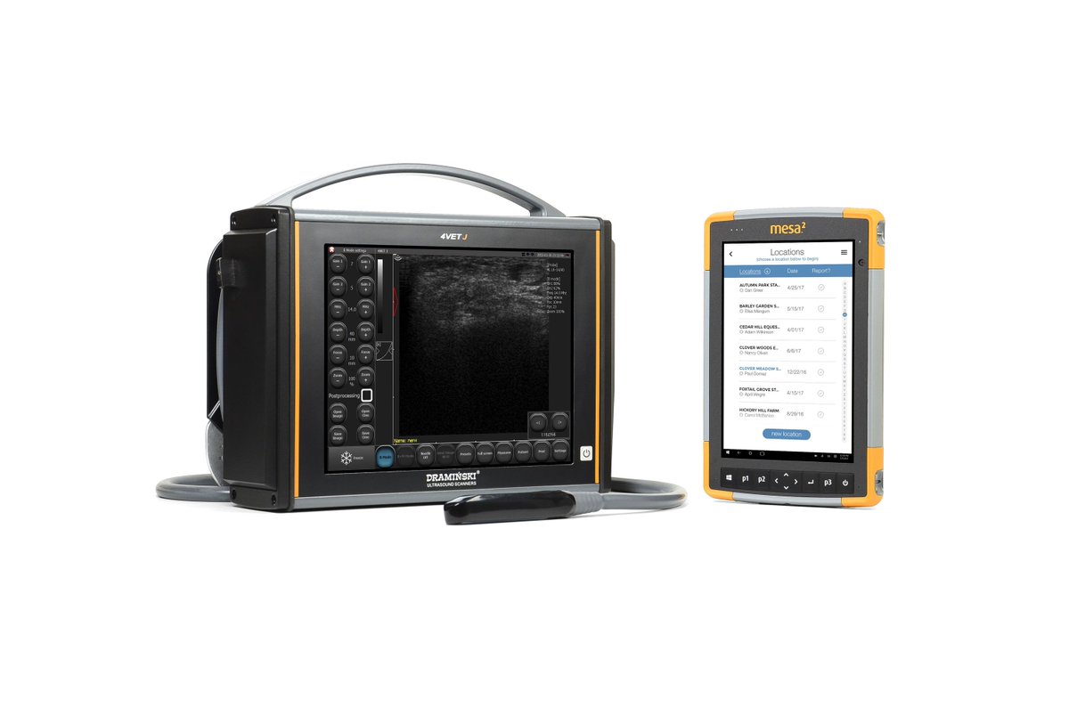 Veterinary Practice News (@vetpracticenews) on Twitter photo What is digital emotional intelligence? 
buff.ly/3k86eOm What is digital emotional intelligence? 
buff.ly/3k86eOm