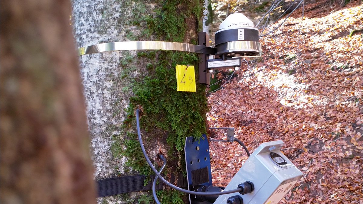 etomelleriunib1's tweet image. New toys installed and autumn maintenance 📸 #emc #ITTNet