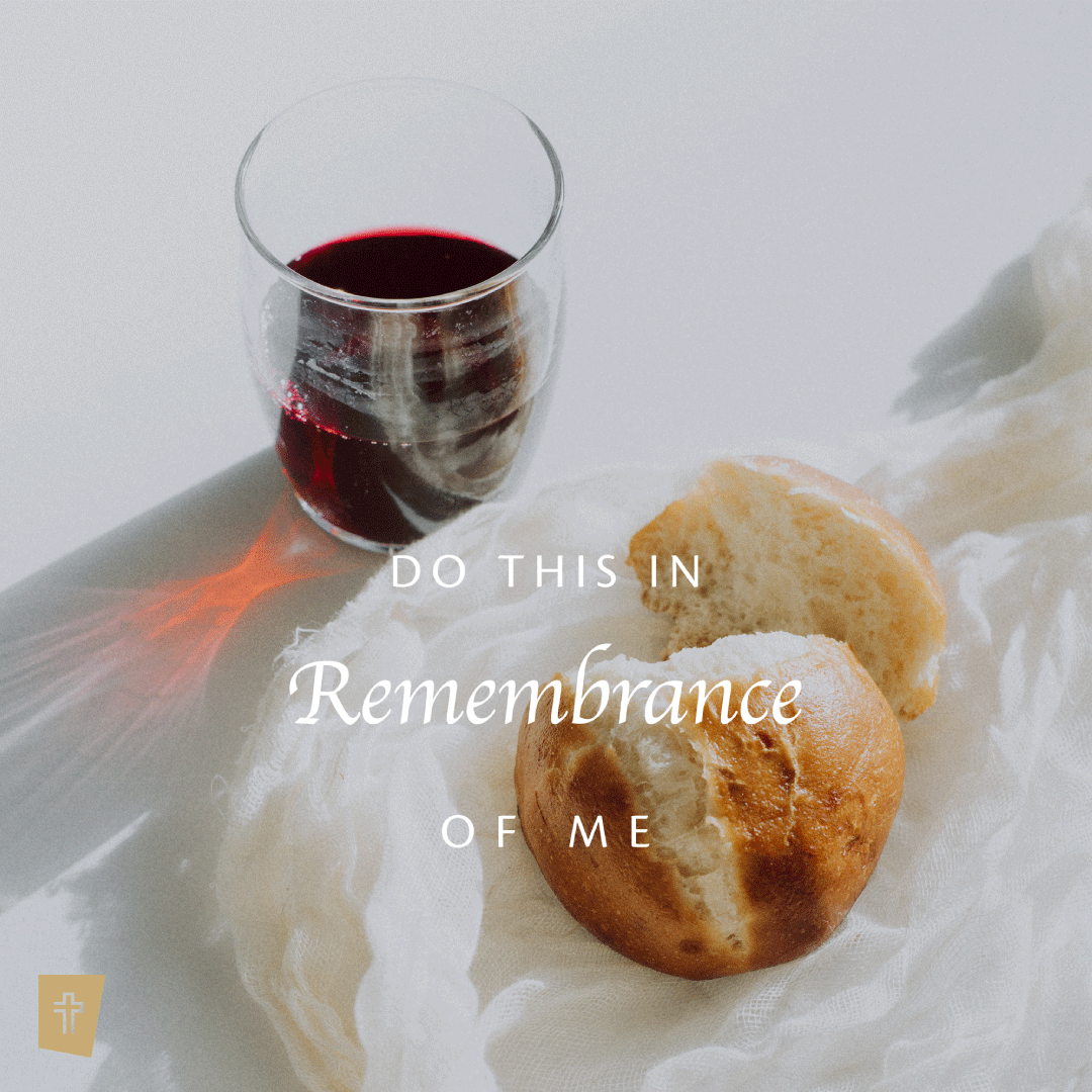 StAAllianceCh's tweet photo. Join us for church on Sunday in-person or online as we have communion together!
Service Times:
In-Person @ 9 & 11AM (registration required)
Livestream @ 11AM (Pre-show @ 10:45AM)
Tune in on https://t.co/V6fn1nKhyT, Facebook and YouTube
#church #communion #staac #staactv https://t.co/IMaoyced82