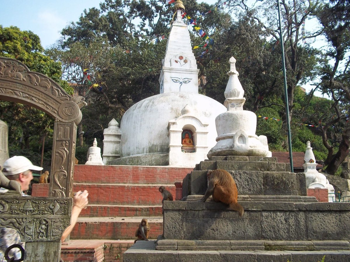 IntlCommission's tweet image. 🇳🇵 If you visit Swoyambhu Stupa in Kathmandu, Nepal, you're guaranteed to meet some monkeys. This ancient Buddhist temple is home to 400 free-ranging rhesus macaques. They're great at posing for photos, but also at stealing your stuff — so watch your valuables!