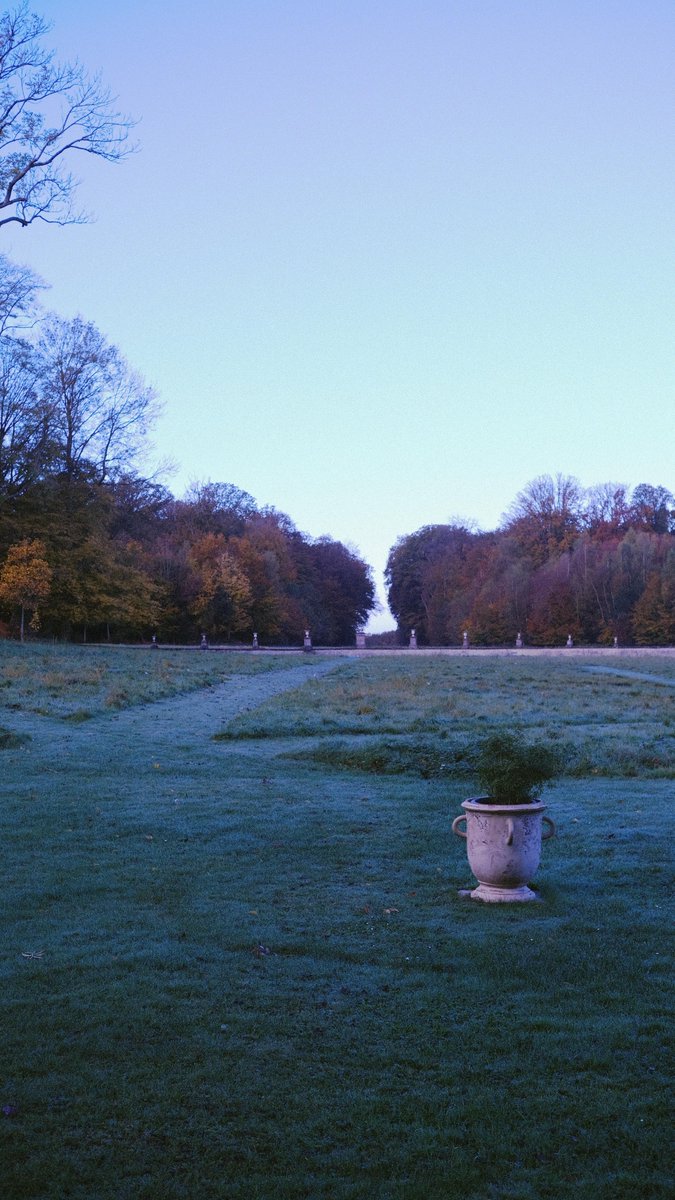 Château de Bonnemare tweet media