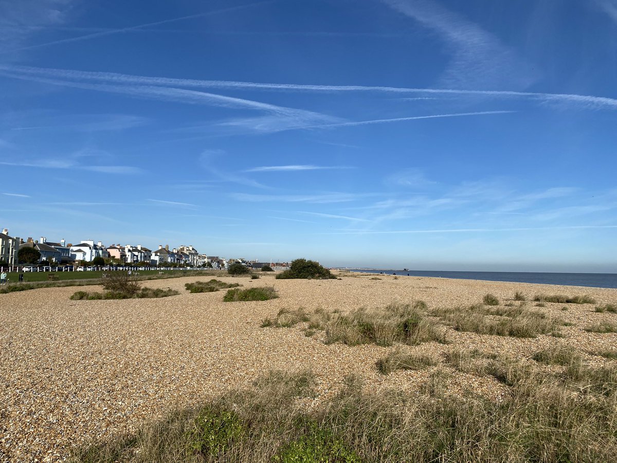 macdesignserv's tweet photo. Great day to be working on a new residential project by the sea! Amazing weather for November! #interiordesign  #residential #views https://t.co/6CZkla4wz2