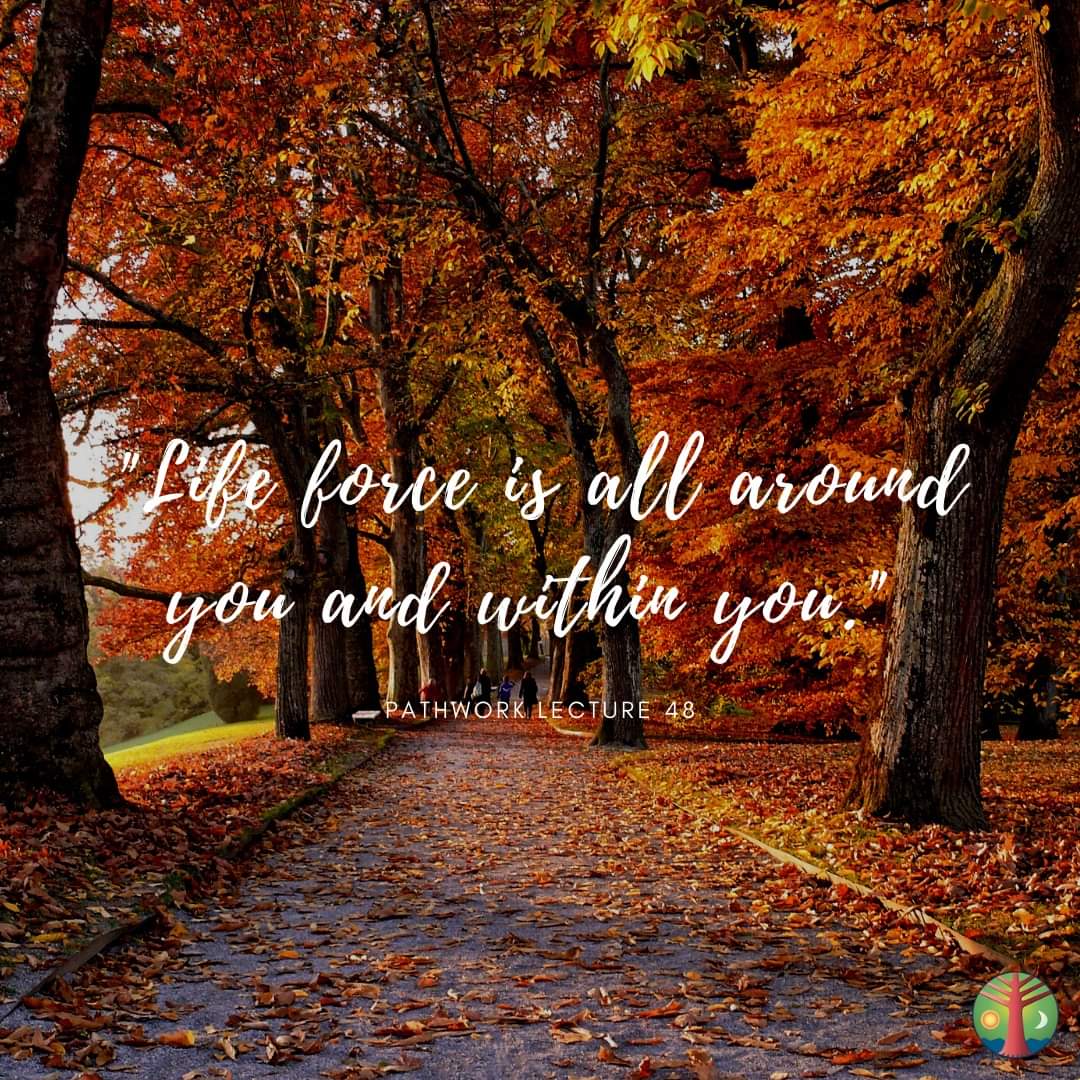 MidAtlPathwork's tweet photo. "Life force is all around you and within you." Pathwork Lecture 48
•
•
•
#pathwork #midatlanticpathwork #transformation #abundance #dailyguidance #mindfulmonday #sevenoaks #spiritualawakening #pathworklectures https://t.co/283v1VnUnR