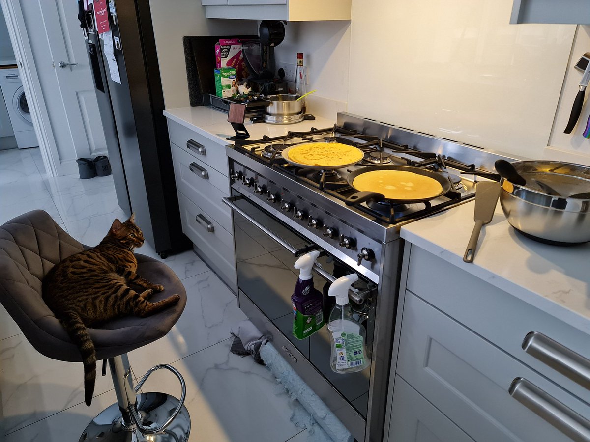 rawmountain's tweet image. Pancake Cake in the making for chat *zizLove*
@Zizaran
(Also, the paper towels under the oven is so loki doesn't go under 🥴)