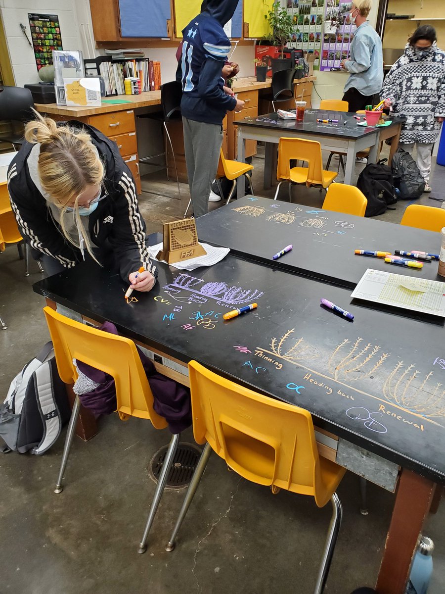 Landscape_CTC tweet media